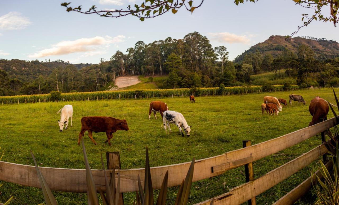 Hospedagem Rural Recanto Do Riacho Urubici Bagian luar foto